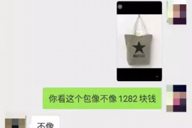 警察与催收电话:职责、合作与法律的交织 警察与催收电话:职责、合作与法律的交织